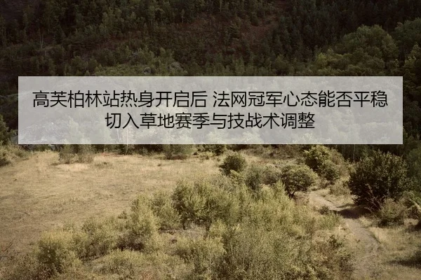 gao-fu-bo-lin-zhan-re-shen-kai-qi-hou-fa-wang-guan-jun-xin-tai-neng-fou-ping-wen-qie-ru-cao-di-sai-ji-yu-ji-zhan-shu-2-543.jpg
