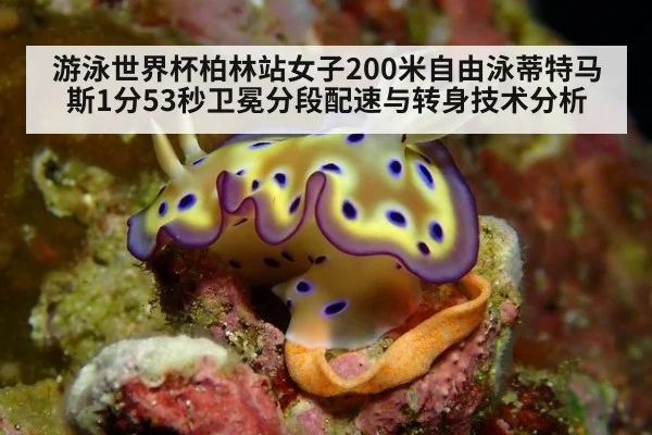 游泳世界杯柏林站女子200米自由泳蒂特马斯1分53秒卫冕分段配速与转身技术分析